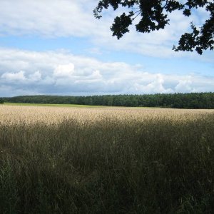 Schne Aussicht auf die Mrkische Landschaft