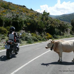 Sardinien 2008