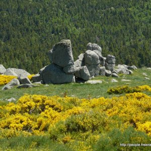 Provence und Cevennen 2009