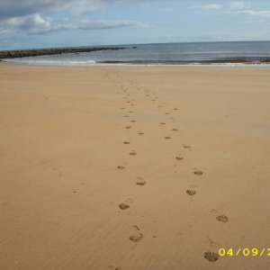 Strand bei BRORA