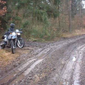 Schlechter Weg, von wegen Enduros machen den Wald kaputt. Das waren Waldarbeiter.