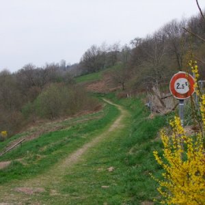 2009 0413Ostern090048