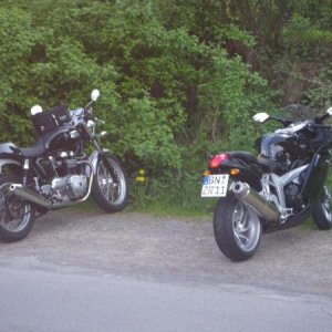 Thruxton und Devildog bei Zur Klus