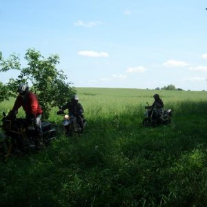 Blühende Landschaften in MeckPomm