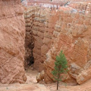 Bryce Canyon - 2400 - 2.760 Meter hoch