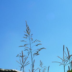 Schöner blauer Himmel