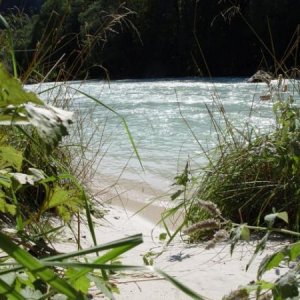 Das Ufer des Save im Triglav Nationalpark (SLO)