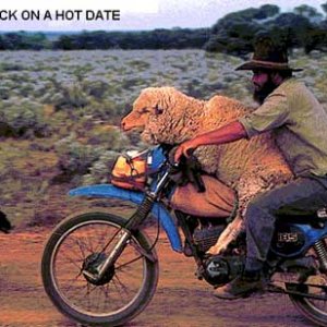 redneck hotdate