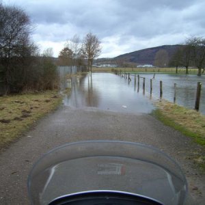 Wasserloch an der Weser