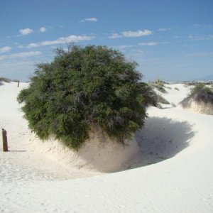 White Sands DSC00864