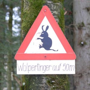 wolpertinger