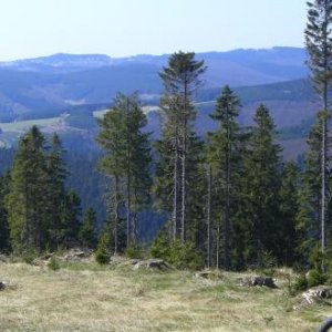 Hochsauerland
Blick auf Winterberg und Neuastenberg