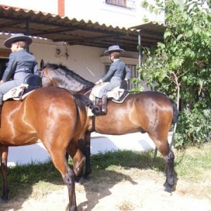 Romeria in El Rocio