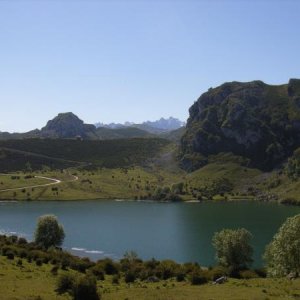 Picos de Europa