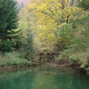 DSC04141 Fischteich bei Wallfahrtskirche Ave Maria bei Deggingen, Schwaebische Alb