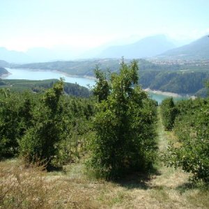 Lago di Santa Giustina