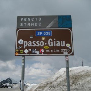 IMG 0982