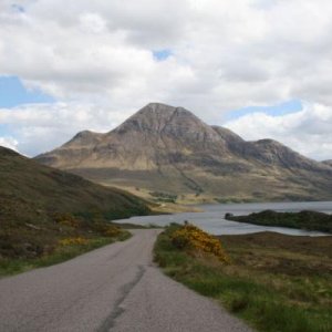 Tag 5 - Single Track im Assynt Coigach. Weit und breit keine Menschenseele, nur Schafe.