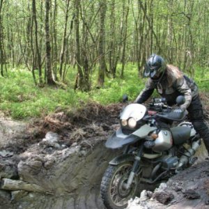 In den Tiefen einer Harvester-Spur irgendwo in den Ardennen