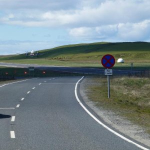 Shetlands - komischer Gegenverkehr