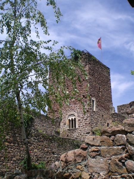 027 Tisens (Tesimo) Aufm Berg mittelalterliche Burg