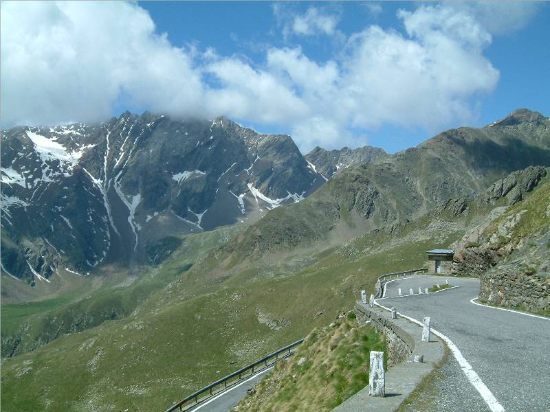 am Gavia