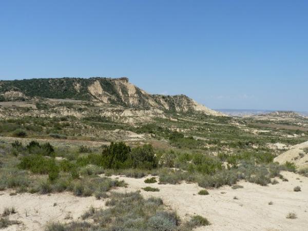 Bardenas Reales