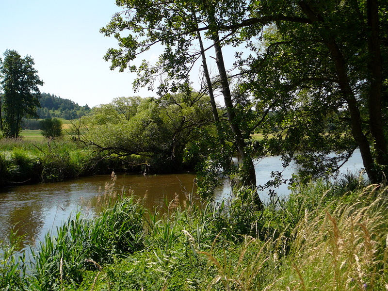 Bayerischer Wald - 2007