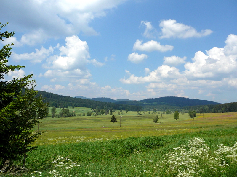 Bayerischer Wald - 2007