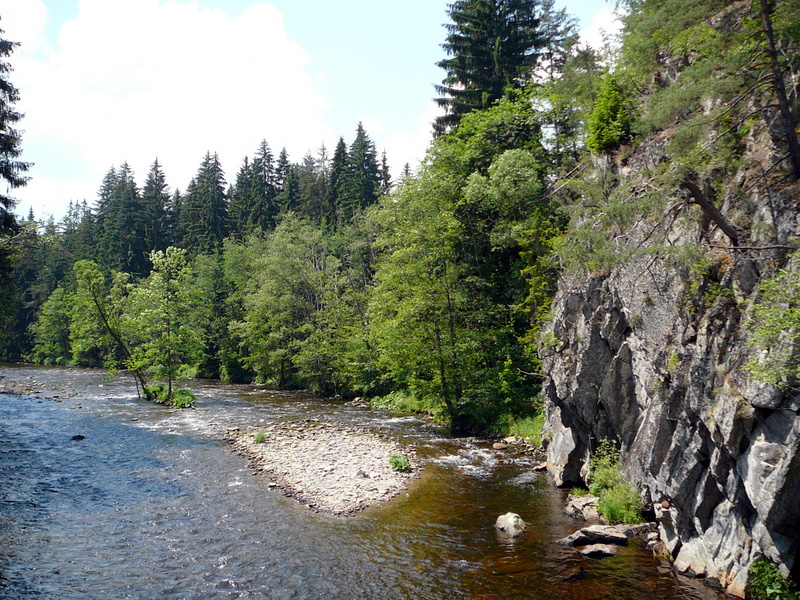 Bayerischer Wald - 2007