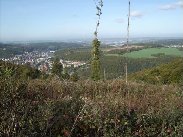 Blick auf Hohenlimburg (Hagen)