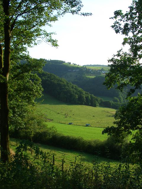 Blick in Richtung Dedenborn