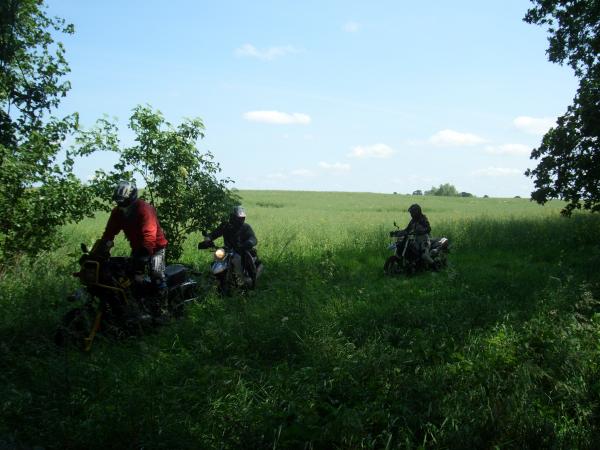 Blühende Landschaften in MeckPomm