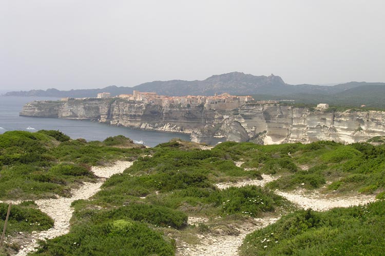 Bonifacio