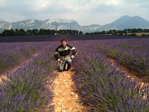 da duftet´s aber nach Lavendel Juli10