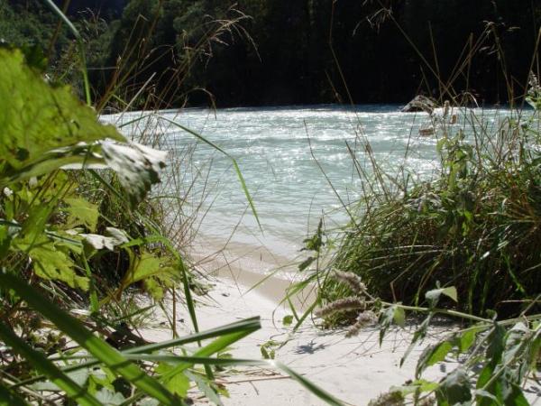 Das Ufer des Save im Triglav Nationalpark (SLO)