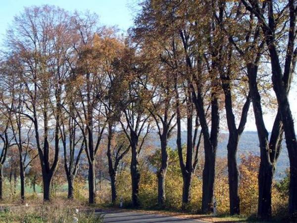 Die wunderbare Serpentinenstrecke oberhalb von Brevörde.