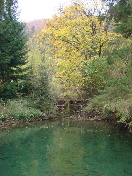 DSC04141 Fischteich bei Wallfahrtskirche Ave Maria bei Deggingen, Schwaebische Alb