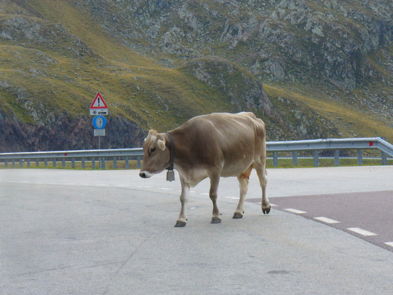 Gardasee 2007