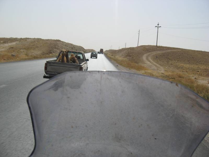 Gemtlich bei 80km/h in Jordanien