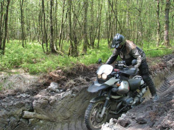 In den Tiefen einer Harvester-Spur irgendwo in den Ardennen