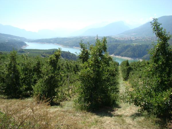 Lago di Santa Giustina