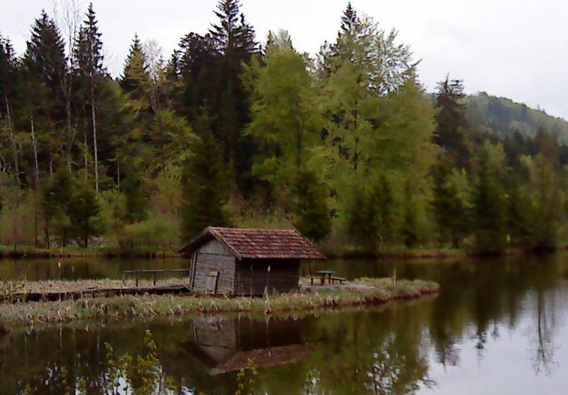 neulich im Wald.....