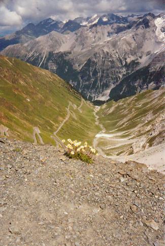 Passo Stelvio mal anders ...