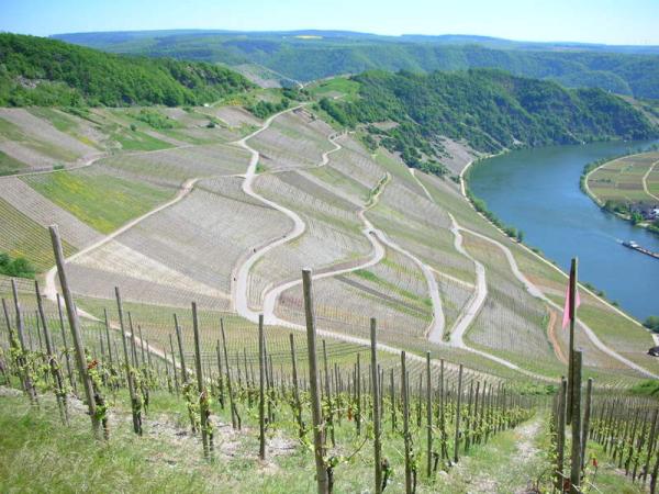 Piesporter Panoramastraße
...hier geht´s runter