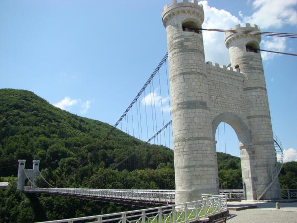 Pont Charles Albert, Cruseilles (F) DSC05471