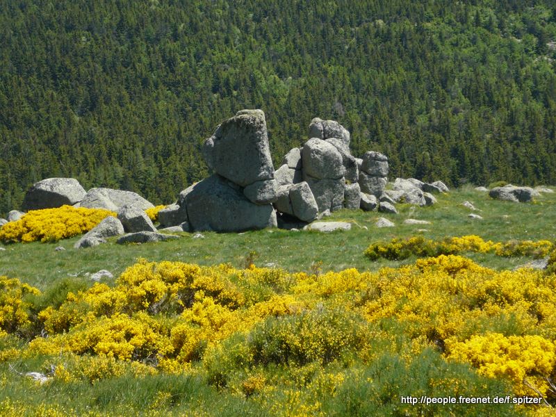 Provence und Cevennen 2009