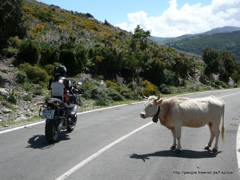 Sardinien 2008