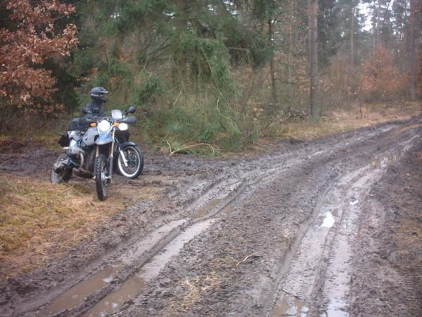 Schlechter Weg, von wegen Enduros machen den Wald kaputt. Das waren Waldarbeiter.