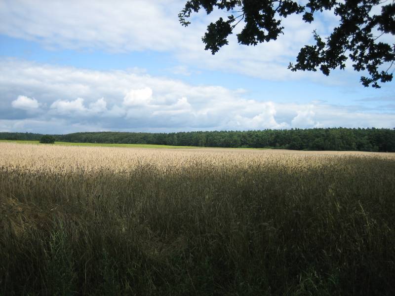 Schne Aussicht auf die Mrkische Landschaft